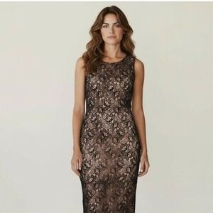Rimini Dress by Shaw Petites Pink Black Lace Beaded Womens 2